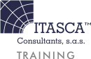 Itasca Consultants S.A.S. Training